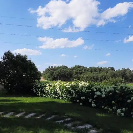 Villa Montresora, Con Piscina Privata Tra Il Di Garda E Verona Sona
